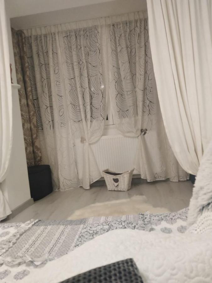 La Monica 2 - Cazare Straja - Lupeni - Retezat - Parang公寓 外观 照片