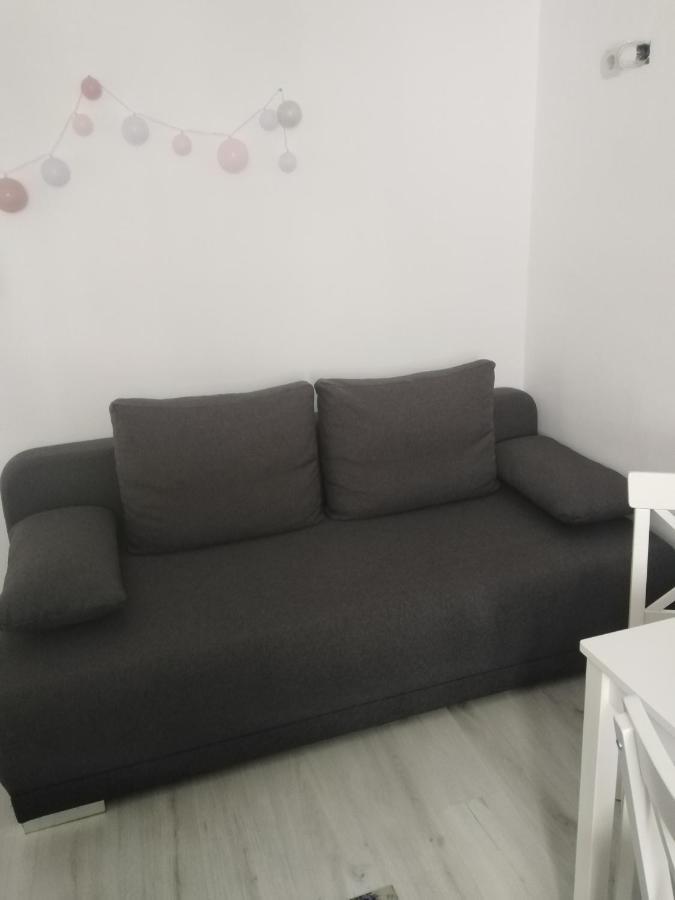 La Monica 2 - Cazare Straja - Lupeni - Retezat - Parang公寓 外观 照片